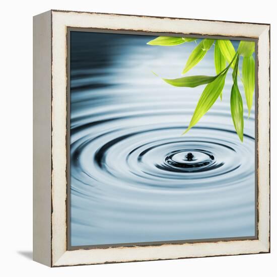 Fresh Bamboo Leaves over Water-null-Framed Stretched Canvas