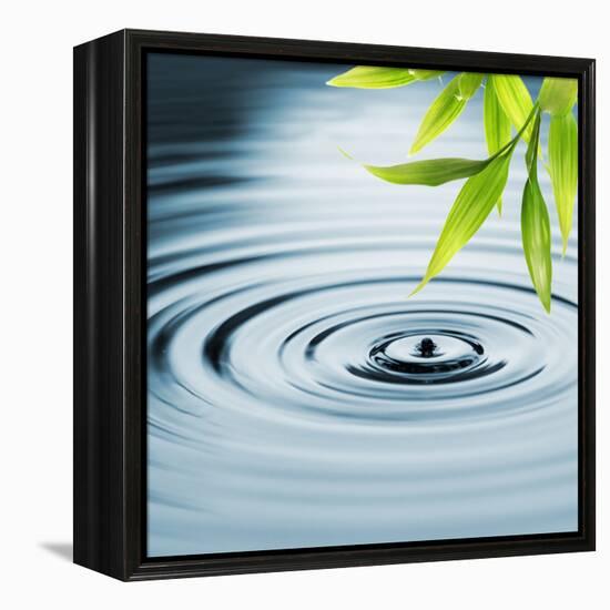 Fresh Bamboo Leaves over Water-null-Framed Stretched Canvas