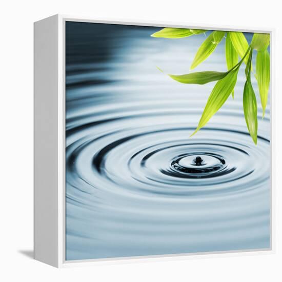 Fresh Bamboo Leaves over Water-null-Framed Stretched Canvas