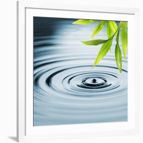 Fresh Bamboo Leaves over Water-null-Framed Photographic Print