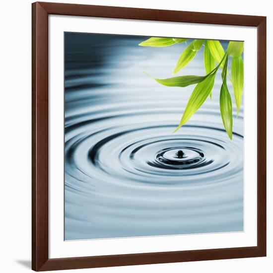 Fresh Bamboo Leaves over Water-null-Framed Photographic Print