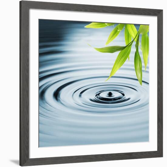 Fresh Bamboo Leaves over Water-null-Framed Photographic Print