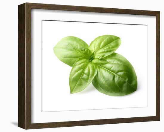 Fresh Basil Leaves in Closeup-dionisvera-Framed Photographic Print