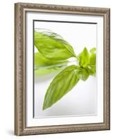 Fresh Basil-Malgorzata Stepien-Framed Photographic Print
