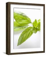 Fresh Basil-Malgorzata Stepien-Framed Photographic Print
