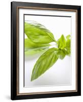 Fresh Basil-Malgorzata Stepien-Framed Photographic Print