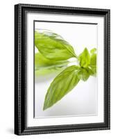 Fresh Basil-Malgorzata Stepien-Framed Photographic Print