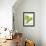 Fresh Basil-Malgorzata Stepien-Framed Photographic Print displayed on a wall