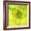 Fresh Bloom I-Nicole Katano-Framed Photo