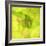 Fresh Bloom I-Nicole Katano-Framed Photo