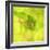 Fresh Bloom I-Nicole Katano-Framed Photo