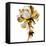Fresh Bloom I-Vanessa Austin-Framed Stretched Canvas