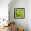 Fresh Bloom III-Nicole Katano-Framed Photo displayed on a wall