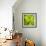 Fresh Bloom III-Nicole Katano-Framed Photo displayed on a wall