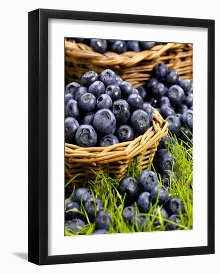 Fresh Blueberries in Wicker Baskets-Stuart MacGregor-Framed Photographic Print