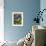 Fresh Blueberries in Wicker Baskets-Stuart MacGregor-Framed Photographic Print displayed on a wall