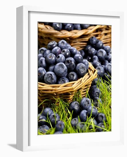 Fresh Blueberries in Wicker Baskets-Stuart MacGregor-Framed Photographic Print