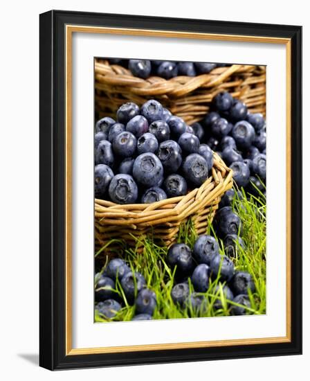 Fresh Blueberries in Wicker Baskets-Stuart MacGregor-Framed Photographic Print