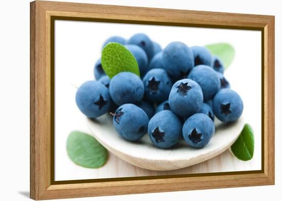 Fresh Blueberry-Olga Miltsova-Framed Premier Image Canvas