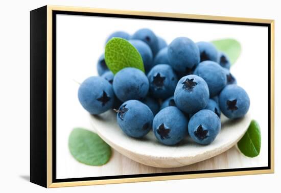 Fresh Blueberry-Olga Miltsova-Framed Premier Image Canvas