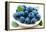 Fresh Blueberry-Olga Miltsova-Framed Premier Image Canvas
