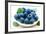 Fresh Blueberry-Olga Miltsova-Framed Photographic Print