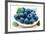 Fresh Blueberry-Olga Miltsova-Framed Photographic Print