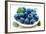 Fresh Blueberry-Olga Miltsova-Framed Photographic Print