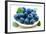 Fresh Blueberry-Olga Miltsova-Framed Photographic Print