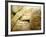 Fresh Bread, Trogir, Croatia-Russell Young-Framed Photographic Print