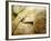 Fresh Bread, Trogir, Croatia-Russell Young-Framed Photographic Print