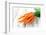 Fresh Carrots on Wooden Background-Kesu01-Framed Photographic Print