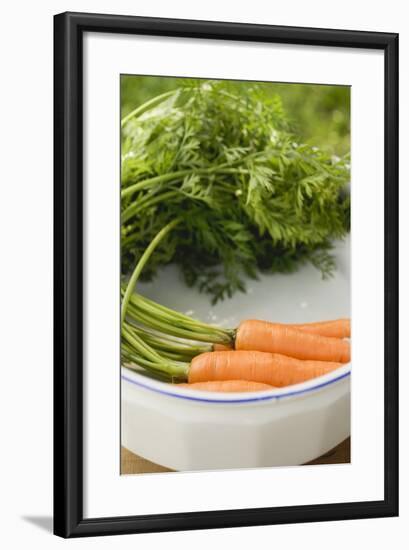 Fresh Carrots with Tops in White Dish-Foodcollection-Framed Photographic Print