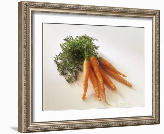 Fresh Carrots with Tops-Amos Schliack-Framed Photographic Print