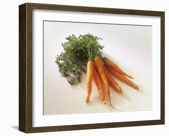 Fresh Carrots with Tops-Amos Schliack-Framed Photographic Print