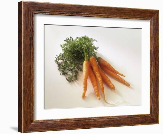 Fresh Carrots with Tops-Amos Schliack-Framed Photographic Print