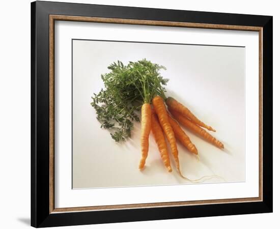 Fresh Carrots with Tops-Amos Schliack-Framed Photographic Print