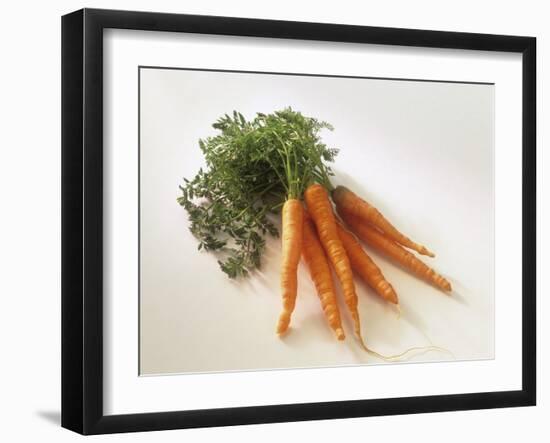 Fresh Carrots with Tops-Amos Schliack-Framed Photographic Print