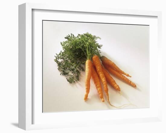 Fresh Carrots with Tops-Amos Schliack-Framed Photographic Print