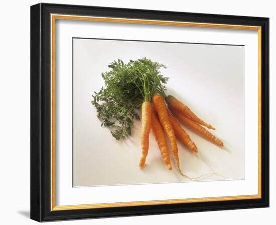 Fresh Carrots with Tops-Amos Schliack-Framed Photographic Print