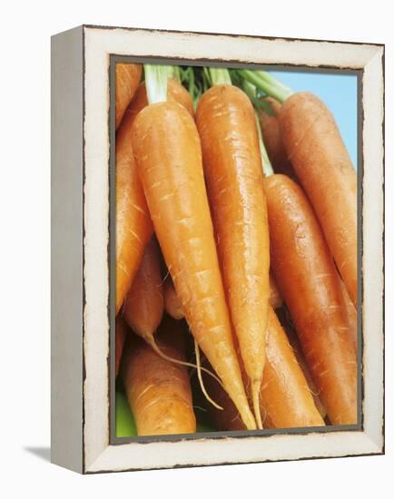 Fresh Carrots-Linda Burgess-Framed Premier Image Canvas