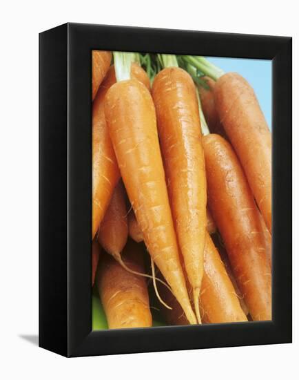 Fresh Carrots-Linda Burgess-Framed Premier Image Canvas