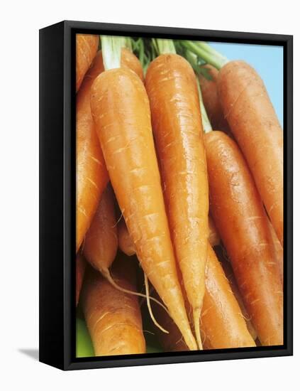 Fresh Carrots-Linda Burgess-Framed Premier Image Canvas