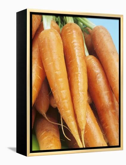 Fresh Carrots-Linda Burgess-Framed Premier Image Canvas