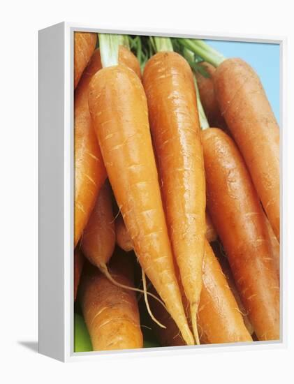 Fresh Carrots-Linda Burgess-Framed Premier Image Canvas