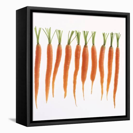 Fresh Carrots-Barbara Bonisolli-Framed Stretched Canvas