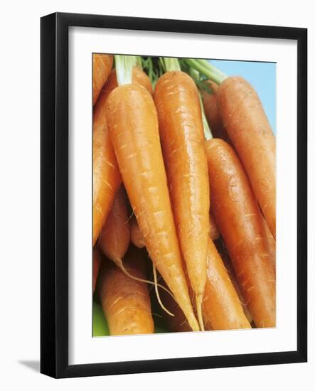 Fresh Carrots-Linda Burgess-Framed Photographic Print