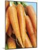 Fresh Carrots-Linda Burgess-Mounted Photographic Print