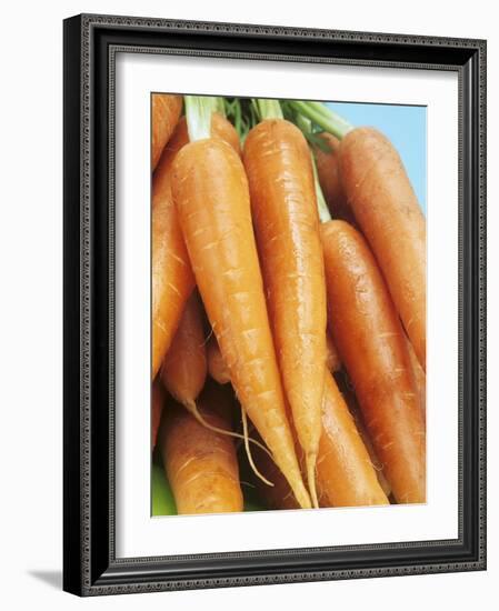 Fresh Carrots-Linda Burgess-Framed Photographic Print