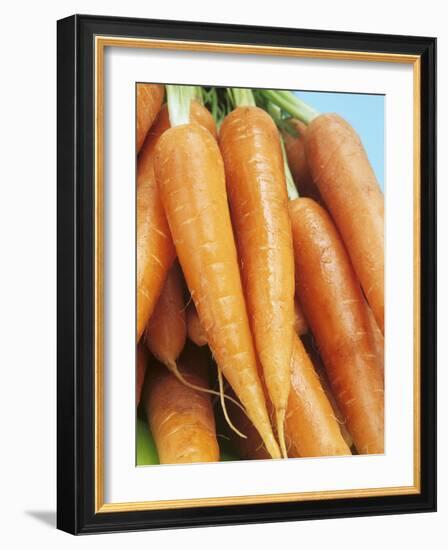 Fresh Carrots-Linda Burgess-Framed Photographic Print